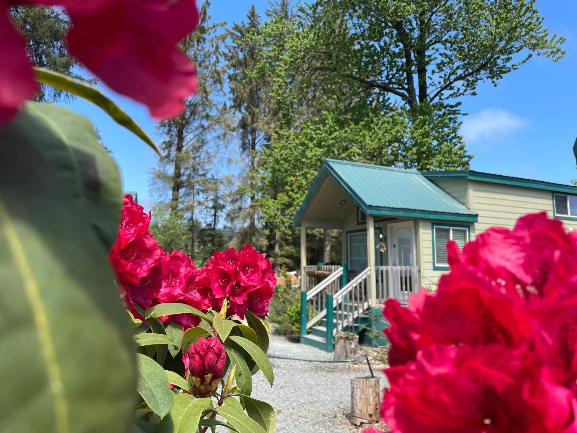 Sheltered Nook On Tillamook Bay Bay City Luaran gambar